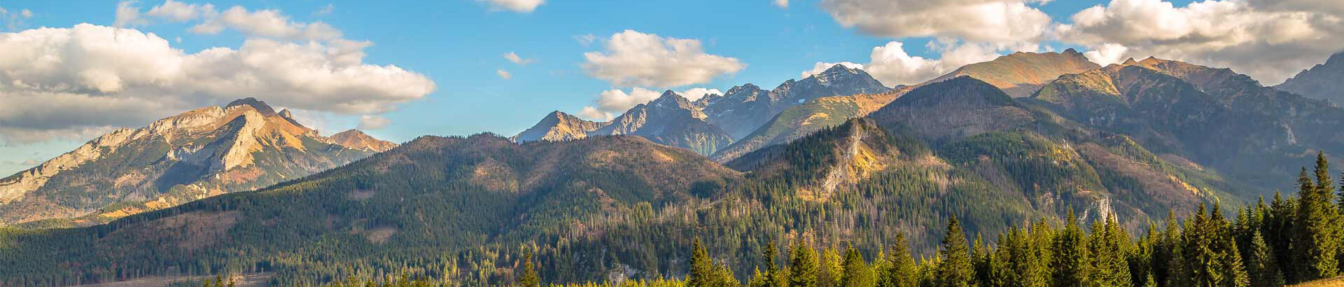 Panorama Tatr widziana z Podhala